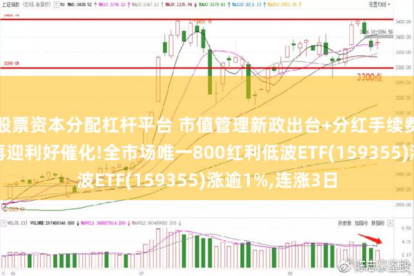 股票资本分配杠杆平台 市值管理新政出台+分红手续费减半征收,红利再迎利好催化!全市场唯一800红利低波ETF(159355)涨逾1%,连涨3日