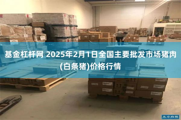 基金杠杆网 2025年2月1日全国主要批发市场猪肉(白条猪)价格行情