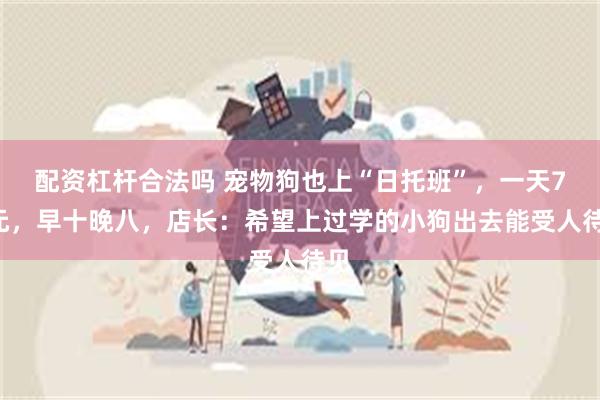 配资杠杆合法吗 宠物狗也上“日托班”，一天72元，早十晚八，店长：希望上过学的小狗出去能受人待见